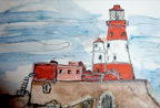 farne island 2